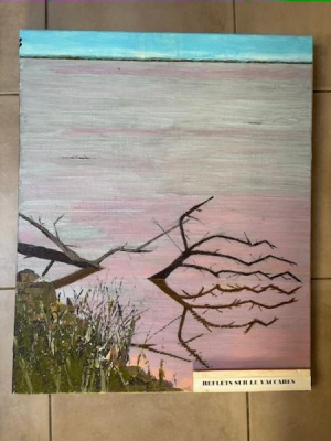 Reflets sur le Vaccares - Jacques Boucomont