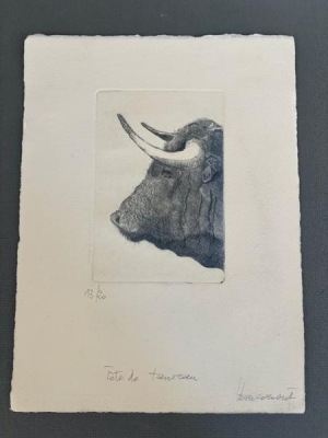 Tête de taureau - Jacques Boucomont