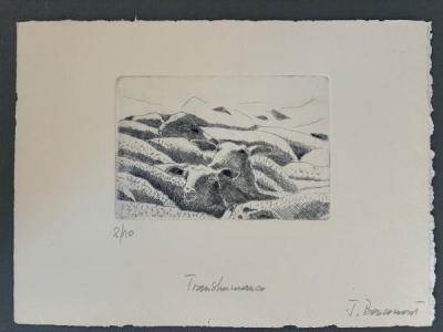 Transhumance - Jacques Boucomont